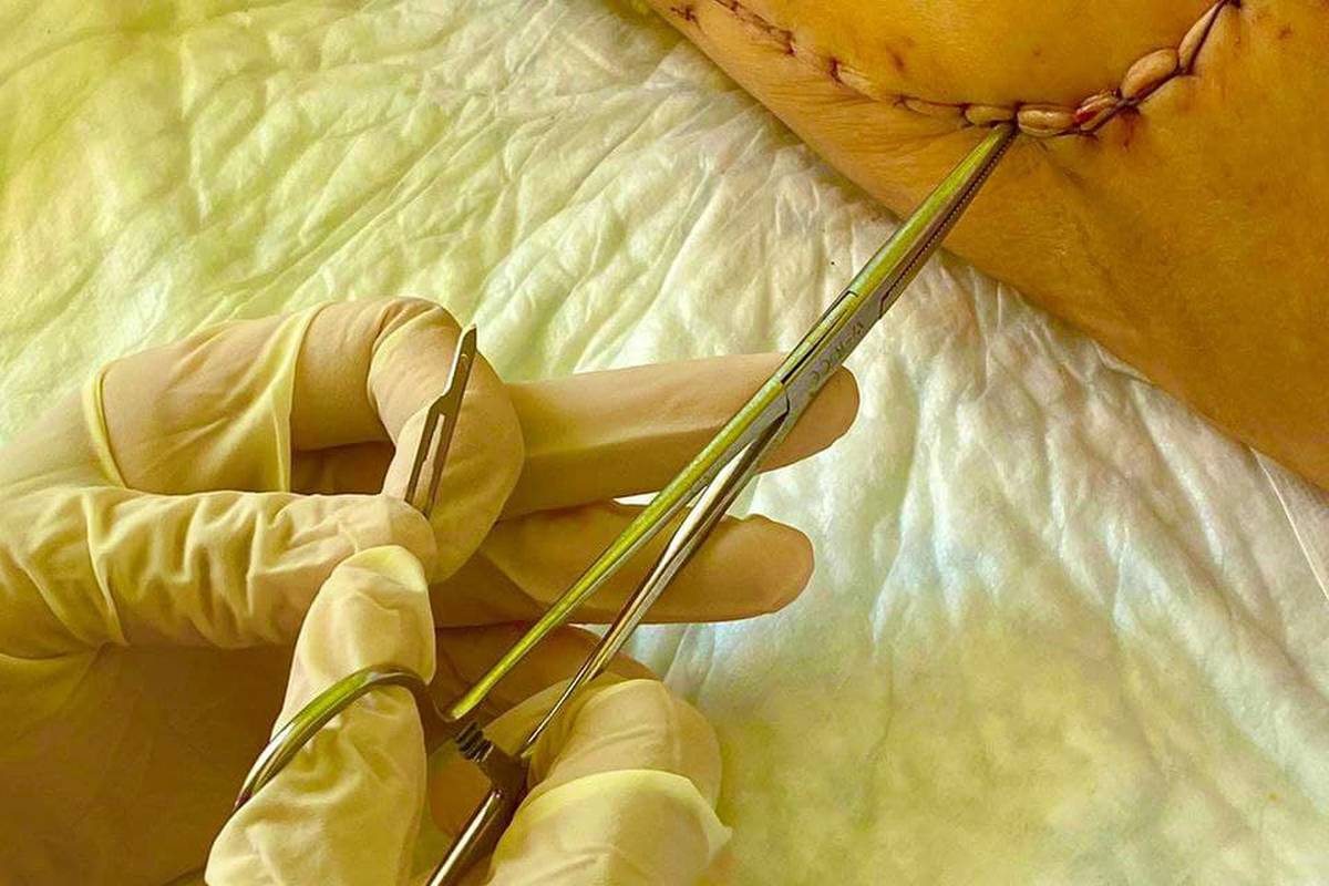 Students of the ADAM University School of Medicine have an internship as a "Nurse's Assistant" in the Tokmok territorial hospital.