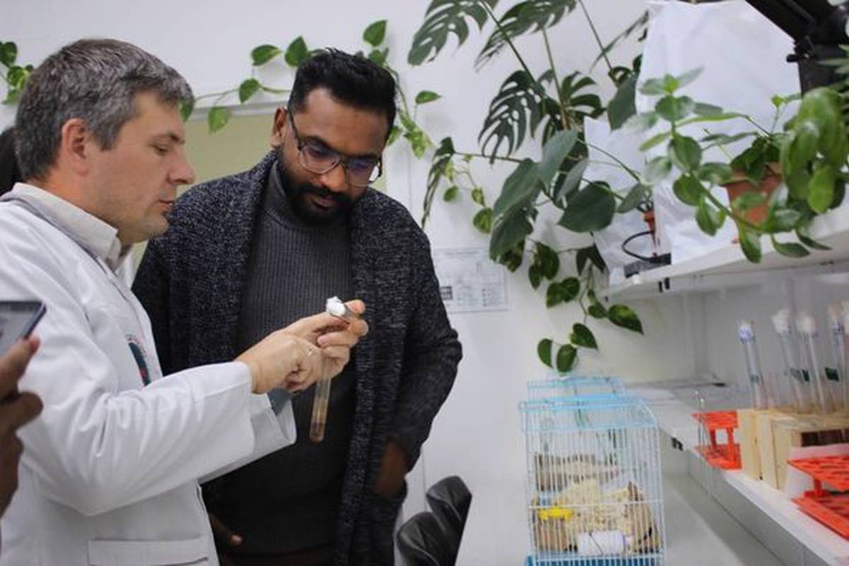 Adam University unites students and professors from different countries, so that students have the opportunity to participate in cultural exchange and develop comprehensively