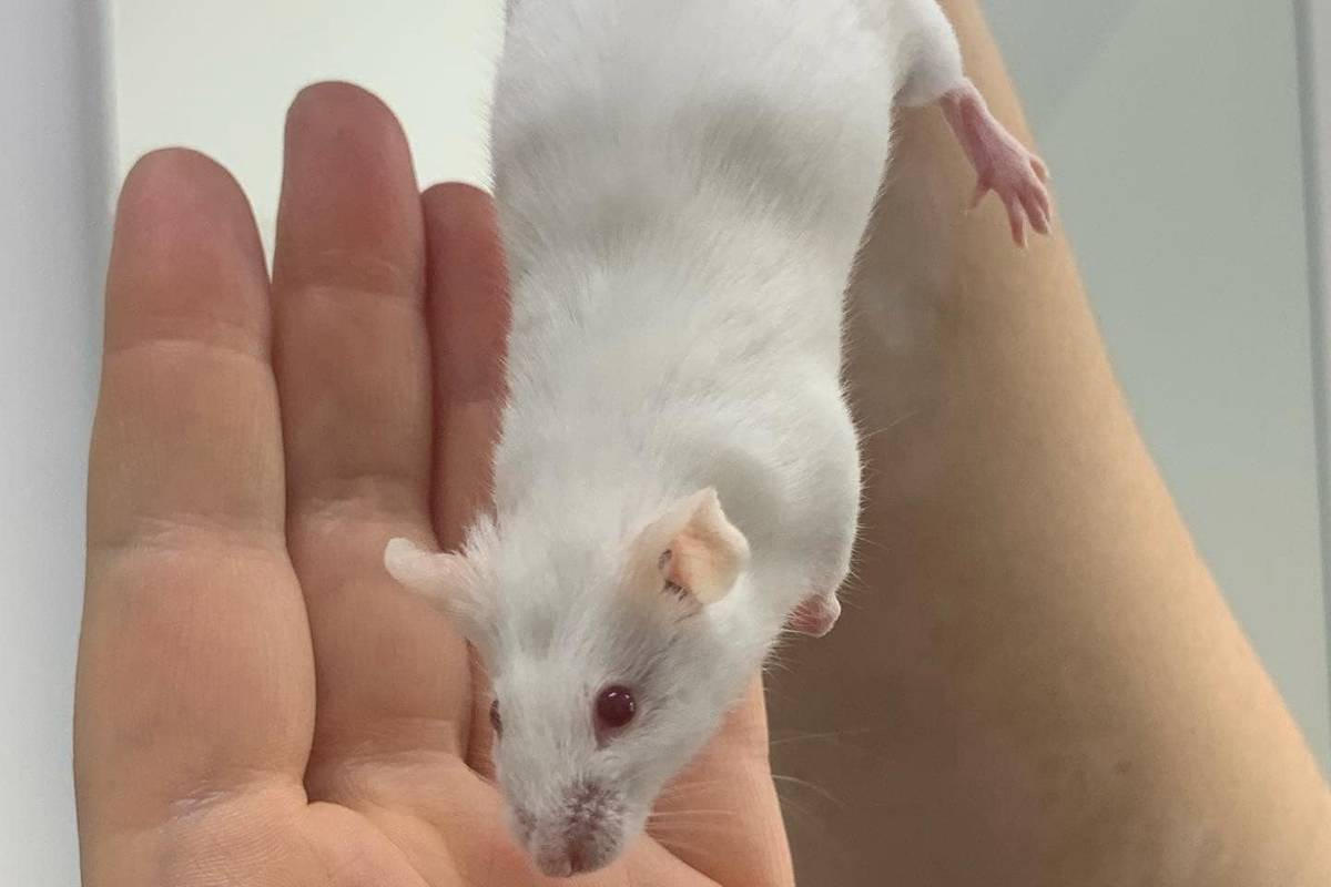 Did you know that we have such cute creatures at the University?