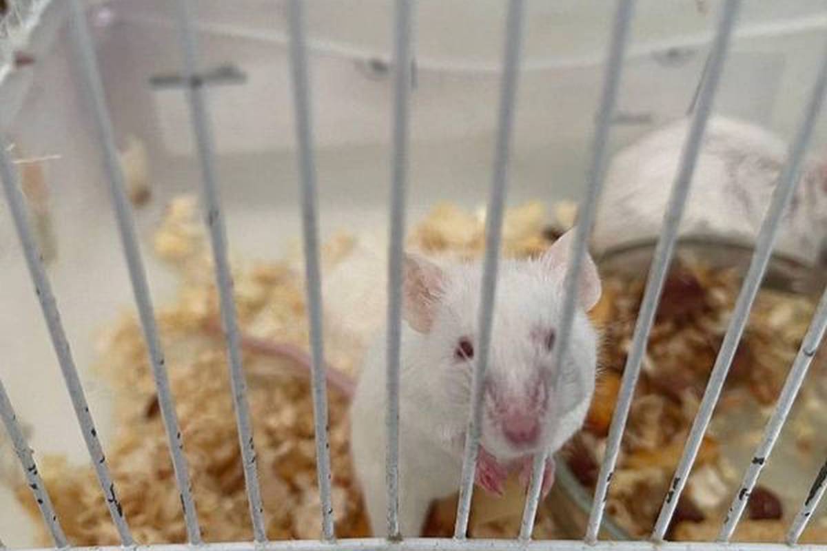 Did you know that we have such cute creatures at the University?